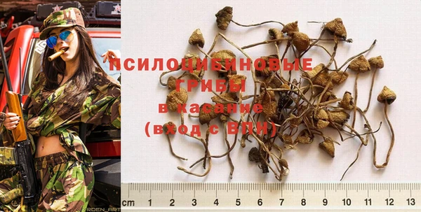 первитин Сосновка