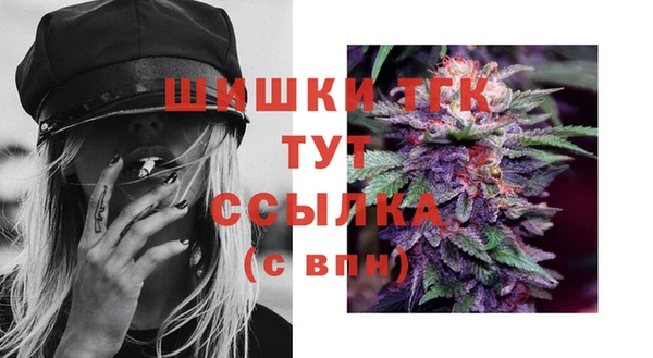 МДПВ Сосновоборск