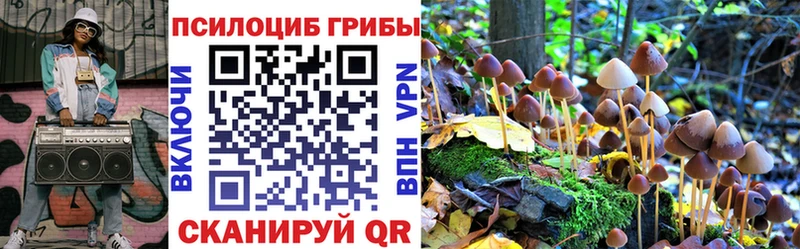 Галлюциногенные грибы MAGIC MUSHROOMS Унеча