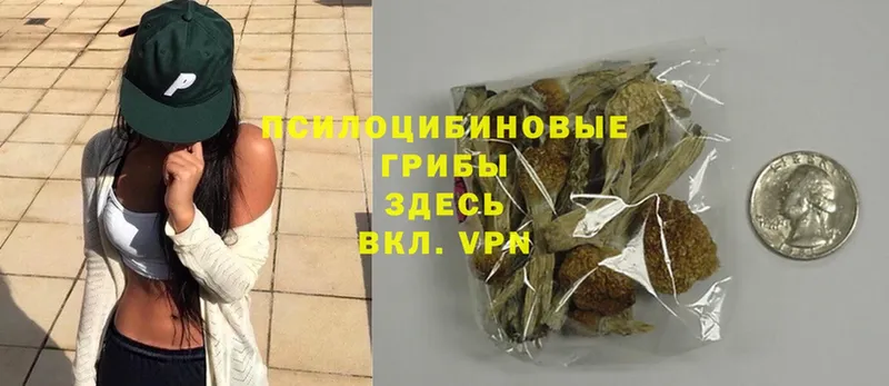 Псилоцибиновые грибы MAGIC MUSHROOMS Унеча