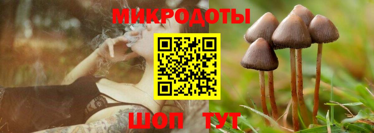 Псилоцибиновые грибы GOLDEN TEACHER Унеча